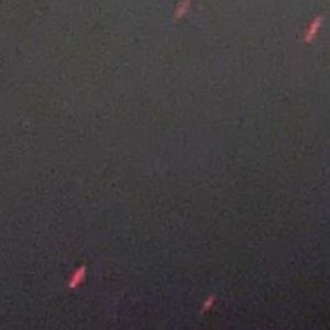 Meet your Posher, Rey